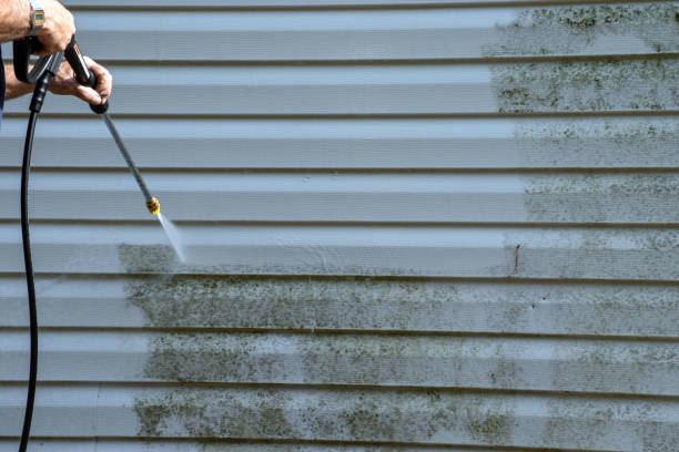 Best Basement Cleanout  in Coats, NC